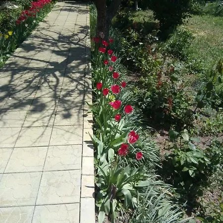 Vila Pavlov