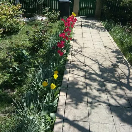 Vila Pavlov * Năvodari